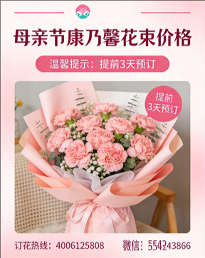 重庆花店母亲节康乃馨花束