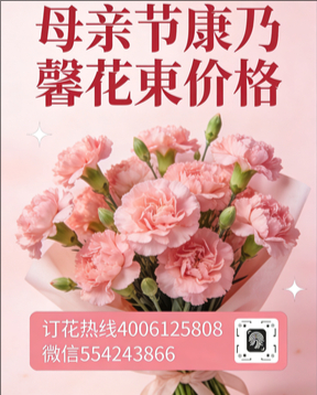 重庆花店母亲节康乃馨花束